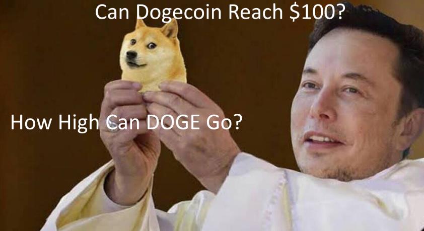 How High Can DOGE Go?
